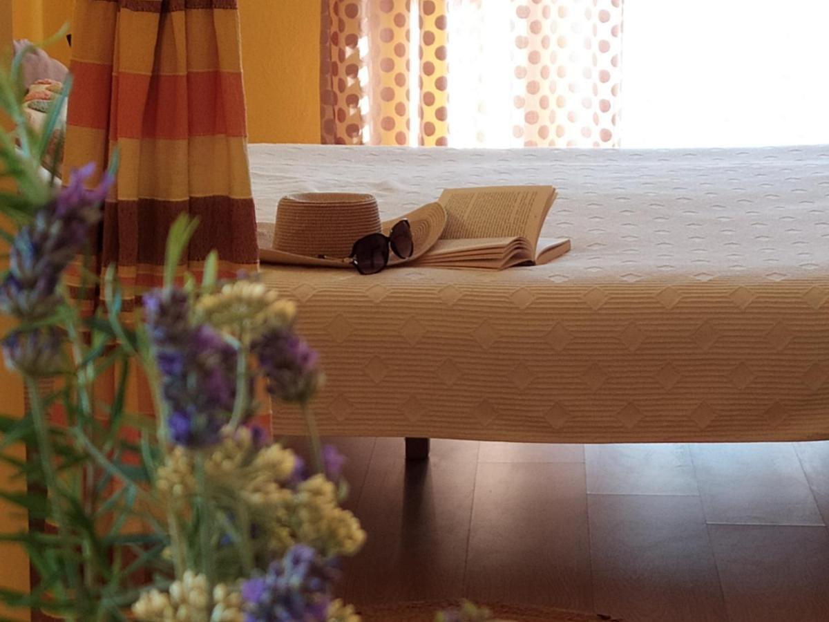 Cozy Apartments Danica Novalja With Terrace - First Floor ภายนอก รูปภาพ