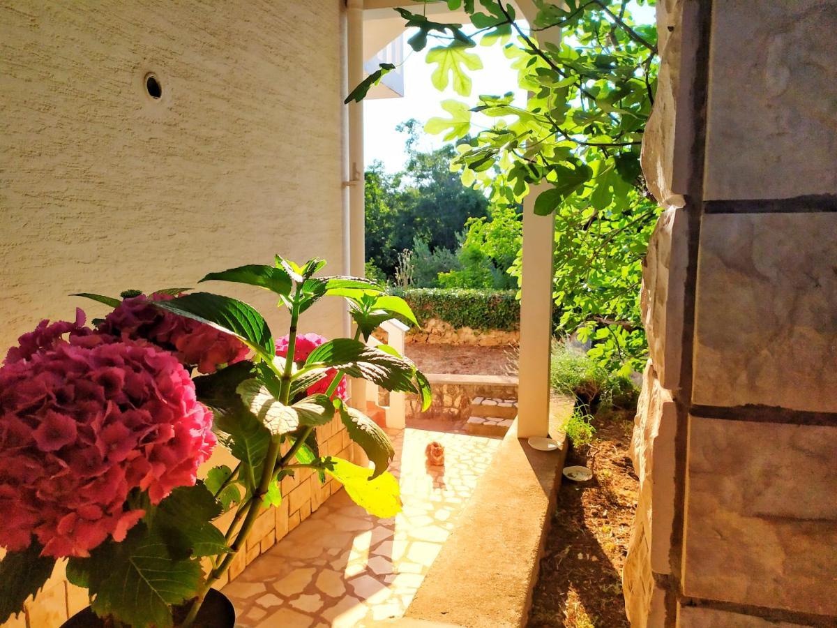 Cozy Apartments Danica Novalja With Terrace - First Floor ภายนอก รูปภาพ