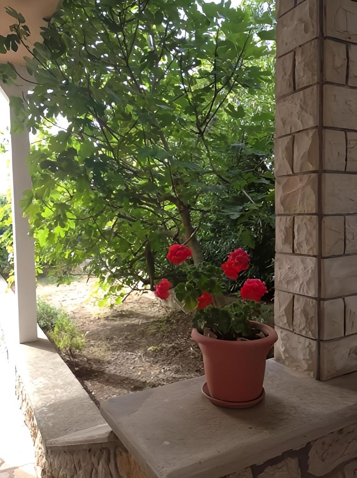 Cozy Apartments Danica Novalja With Terrace - First Floor ภายนอก รูปภาพ