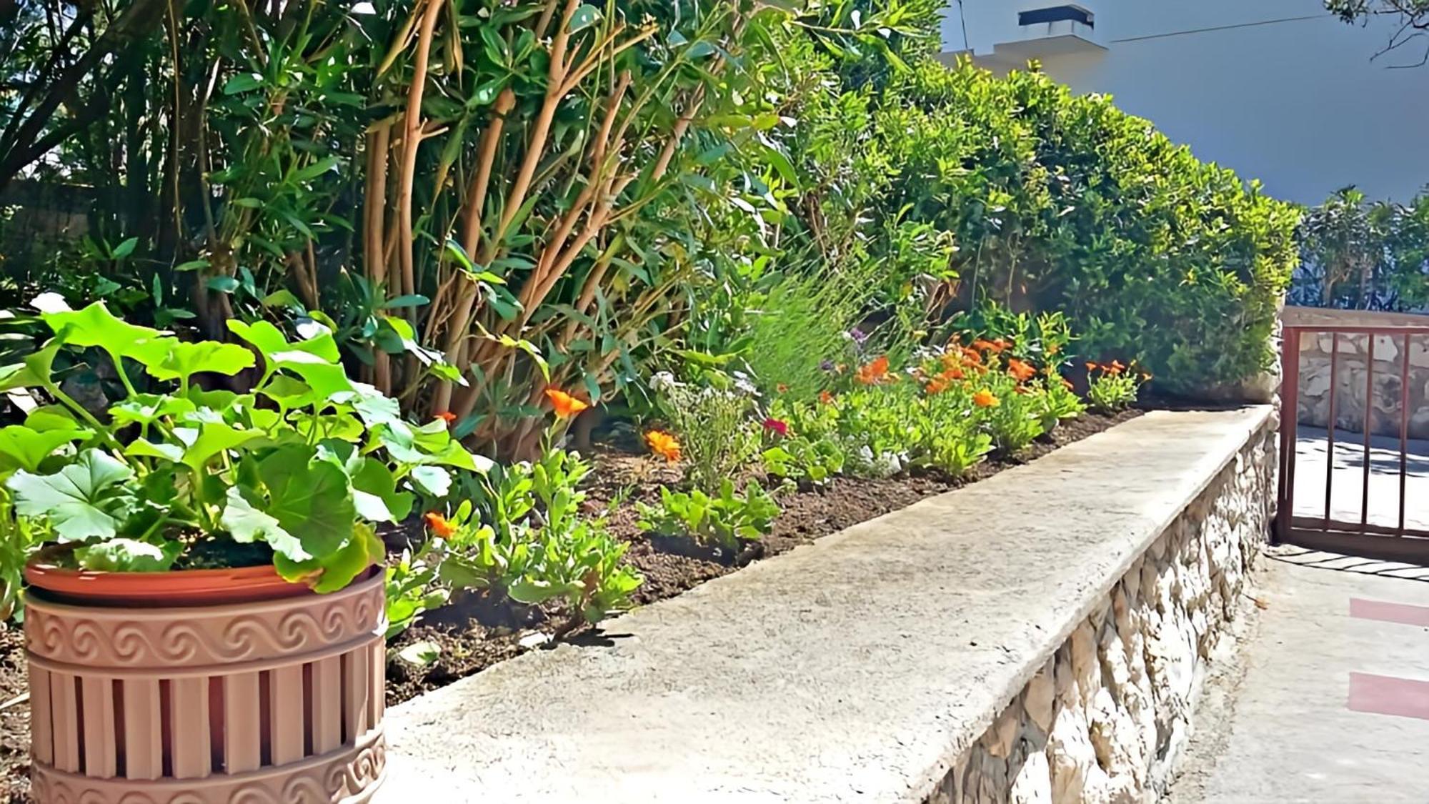 Cozy Apartments Danica Novalja With Terrace - First Floor ภายนอก รูปภาพ